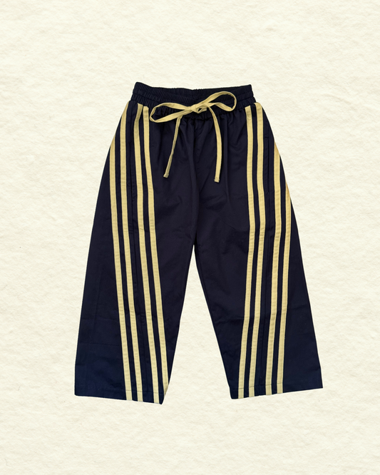 Mode 4 pant